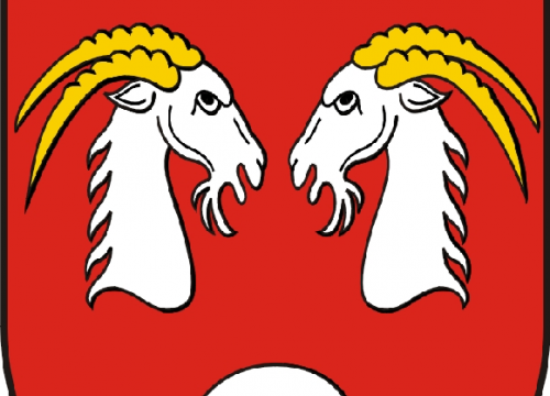 salka korekcyjna